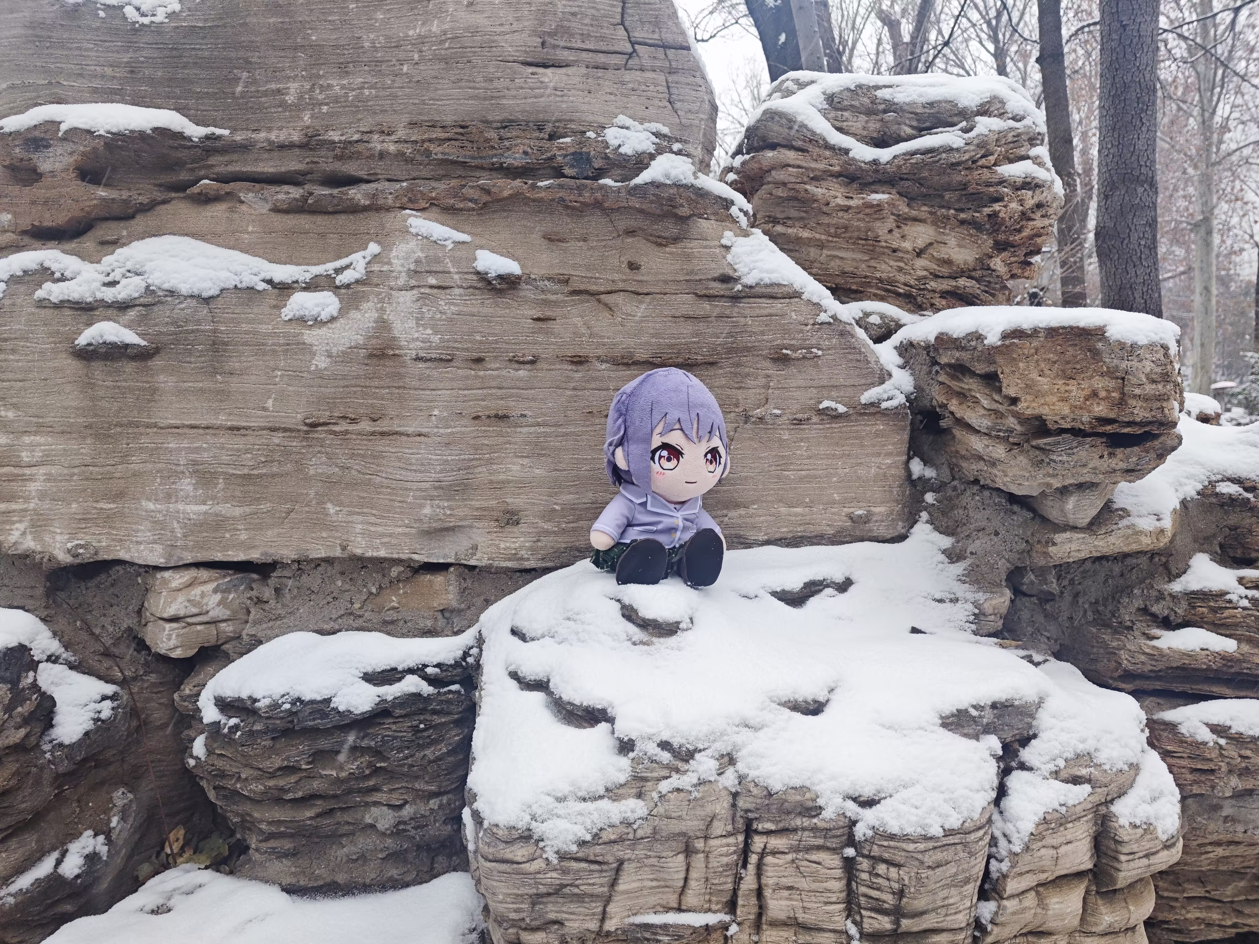 雪中的灯