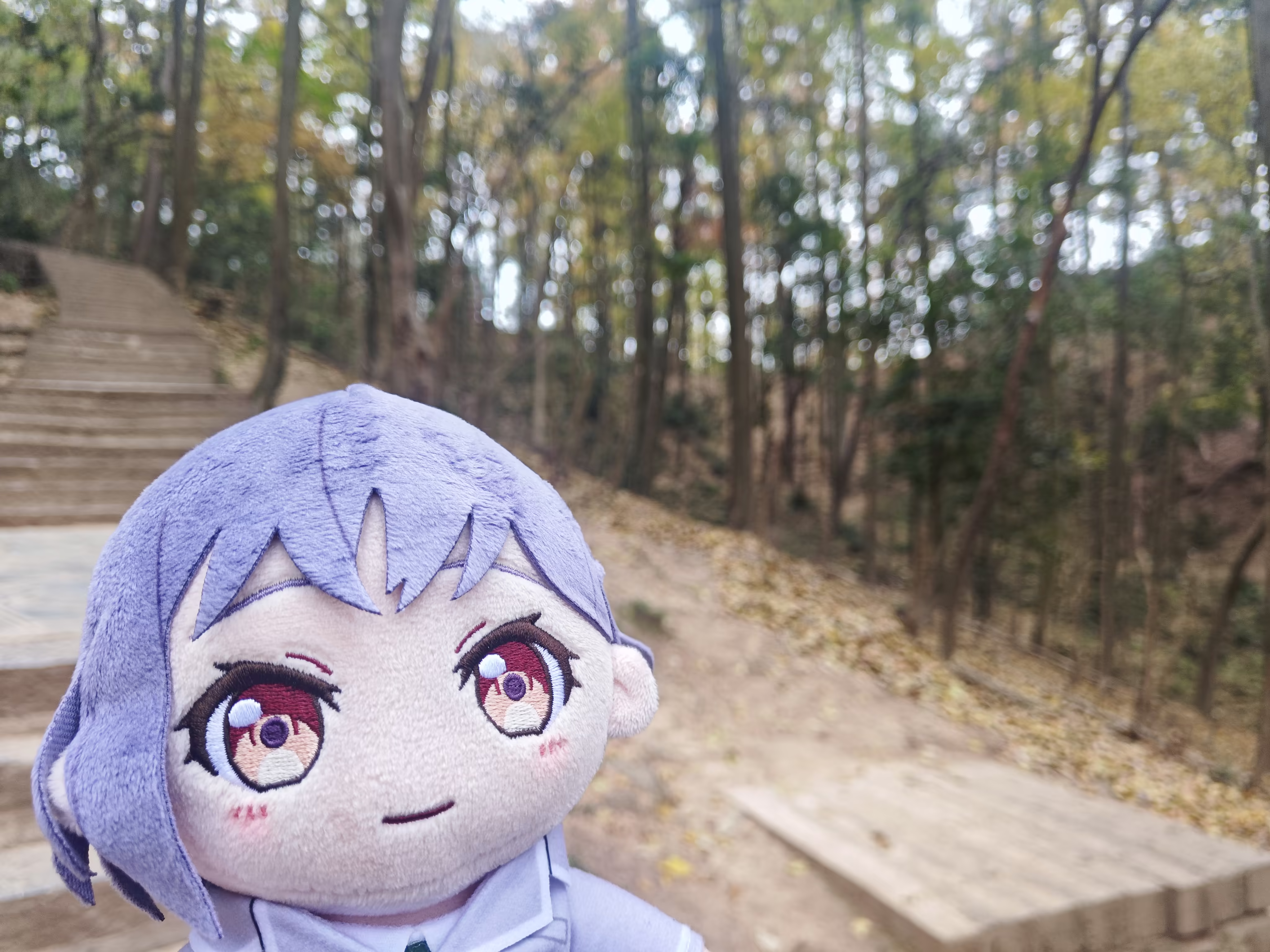 上山台阶