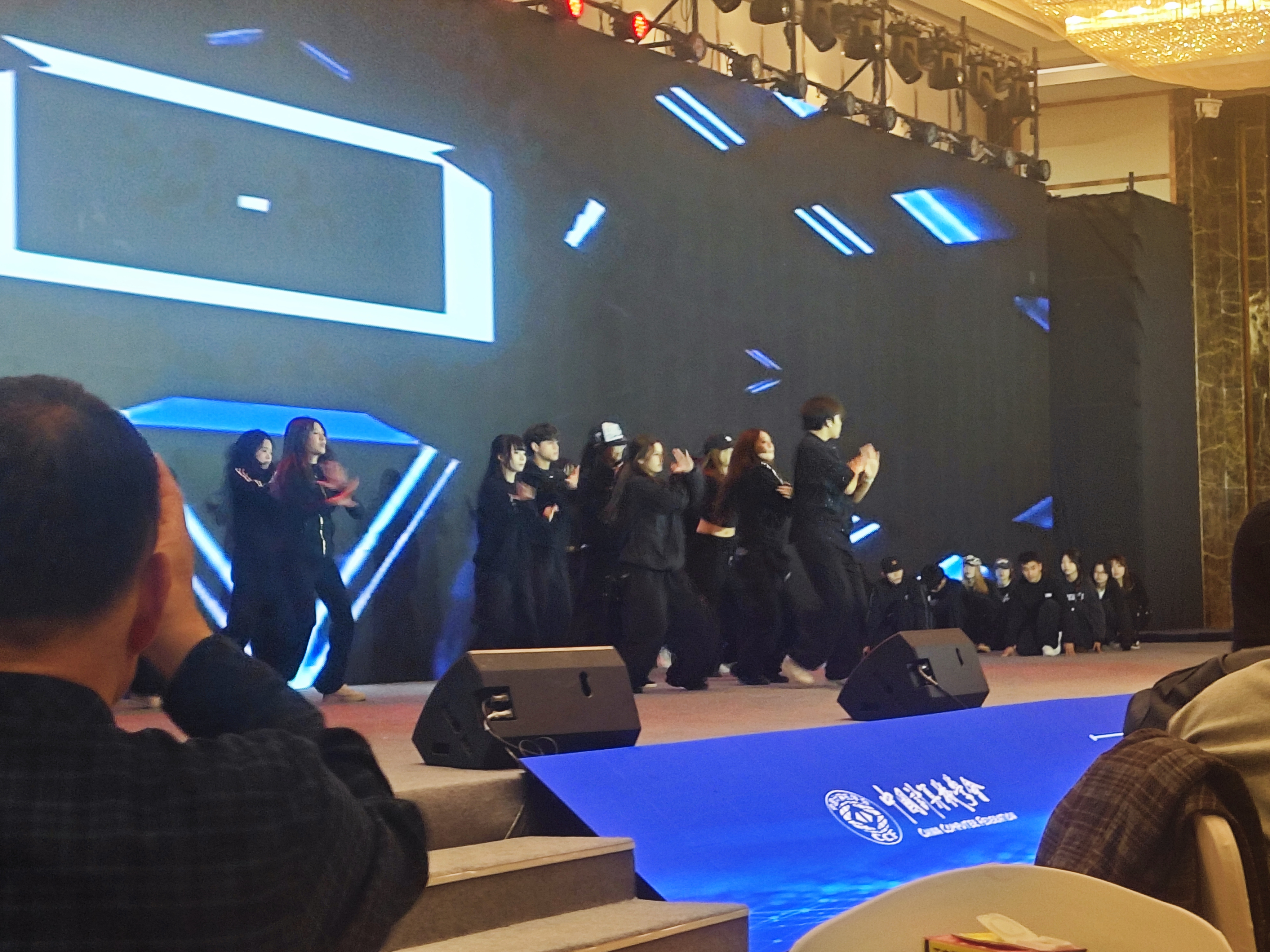 演出现场(动态图片)